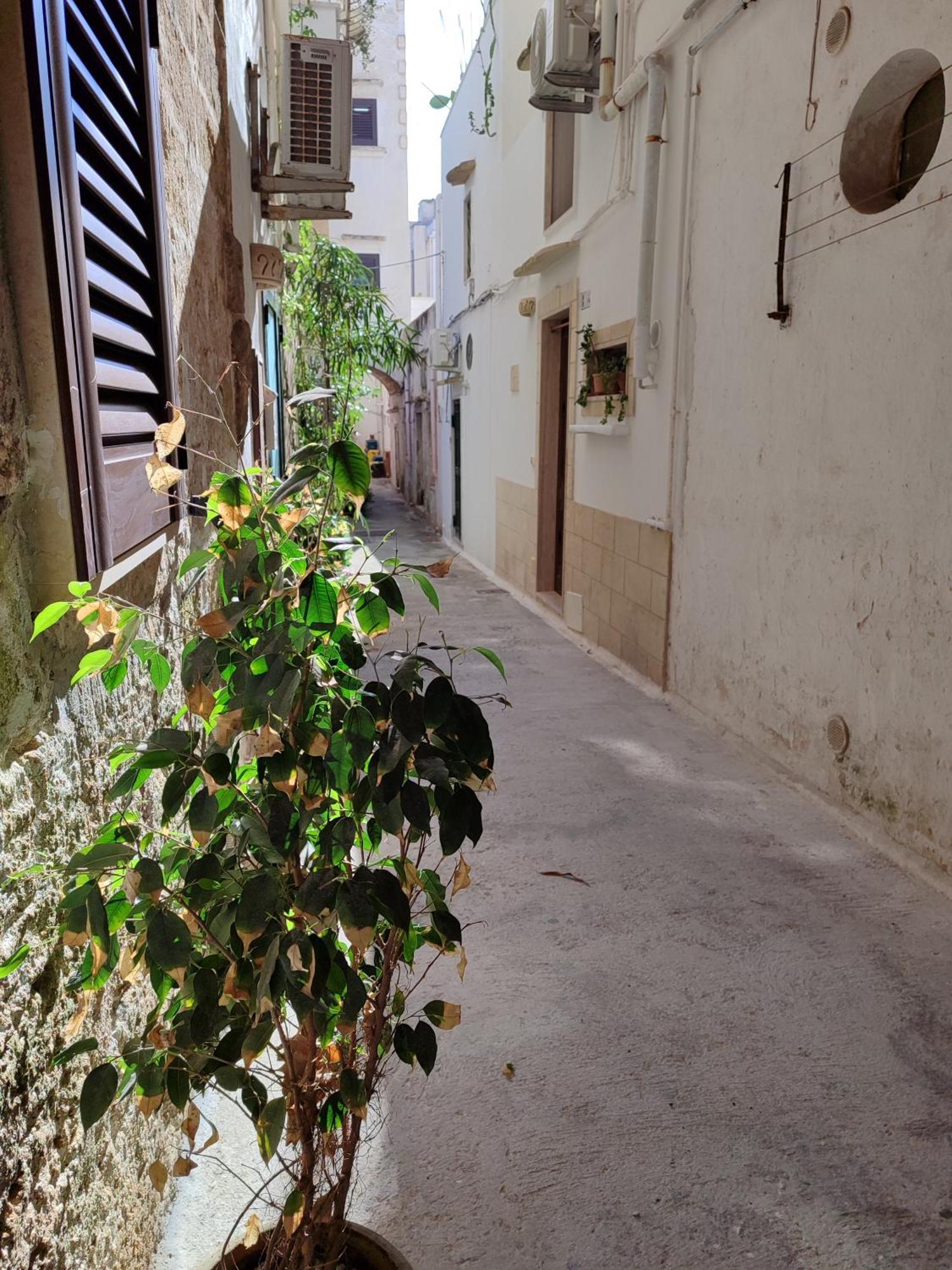 B&B Punta Cutieri กัลลีโปลี ภายนอก รูปภาพ